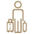 VIP icon